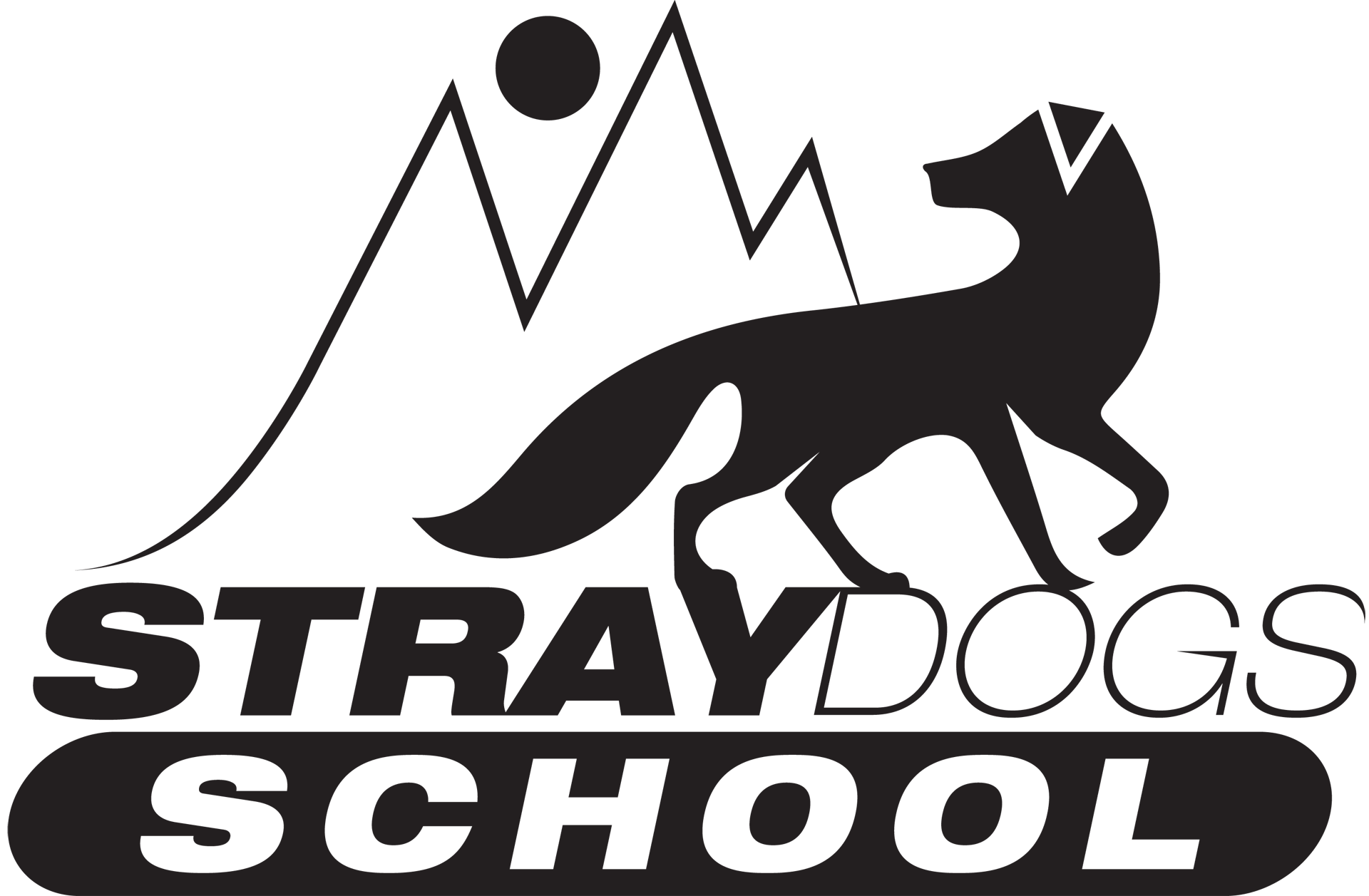 Stray Dogs School